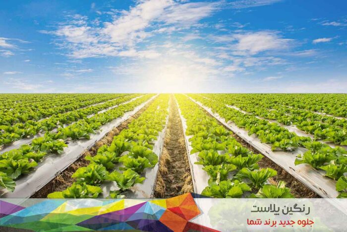 فیلم مالچ کشاورزی